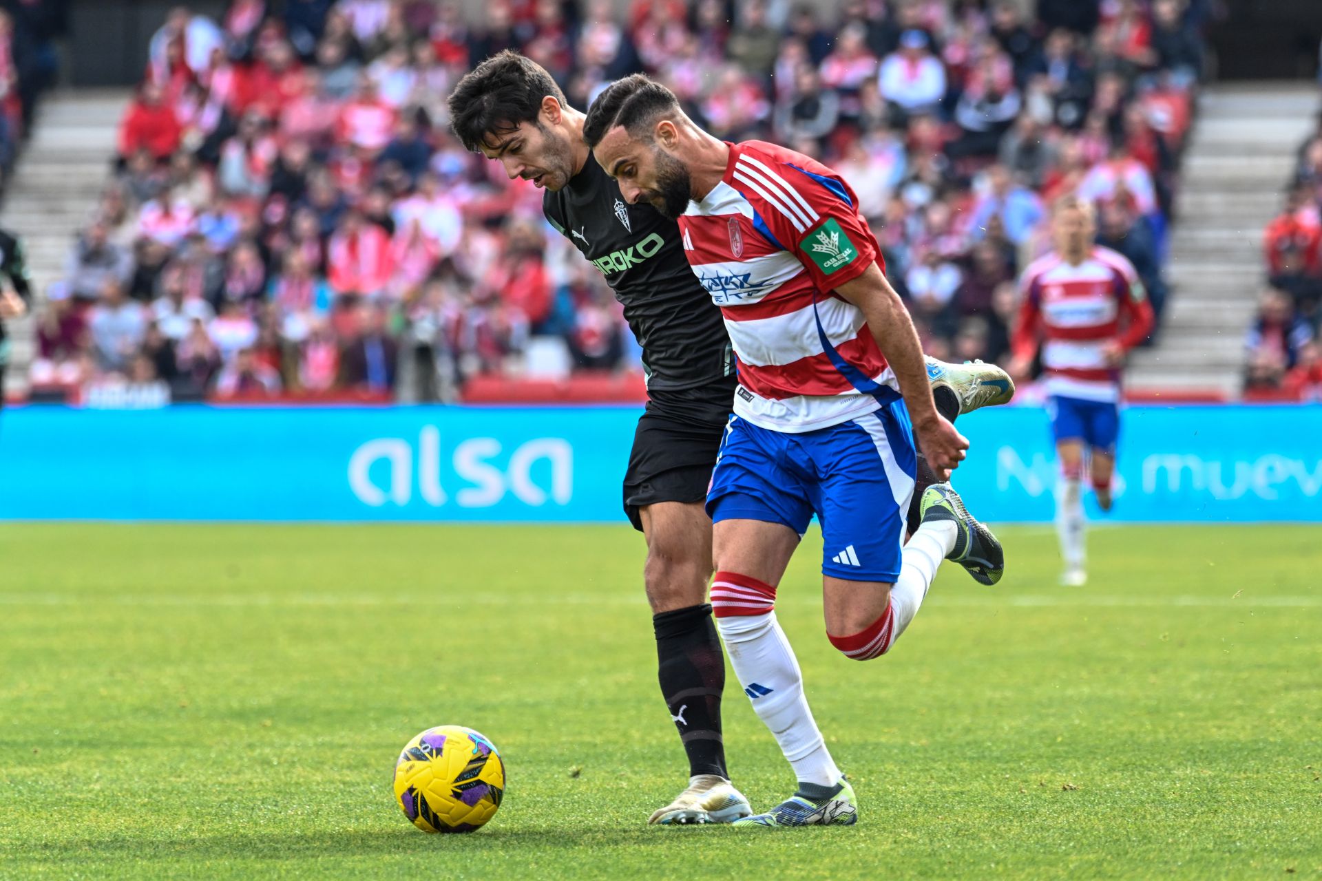 Las mejores imágenes del Granada - Sporting