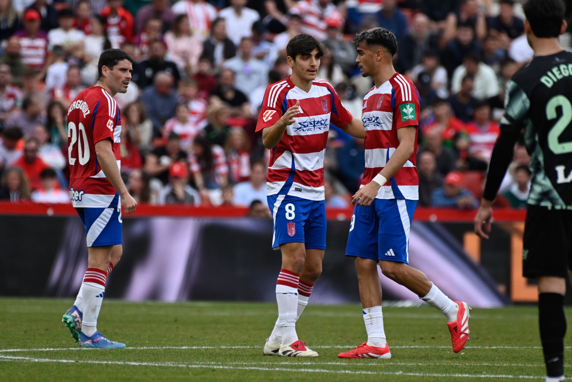 Las mejores imágenes del Granada - Sporting