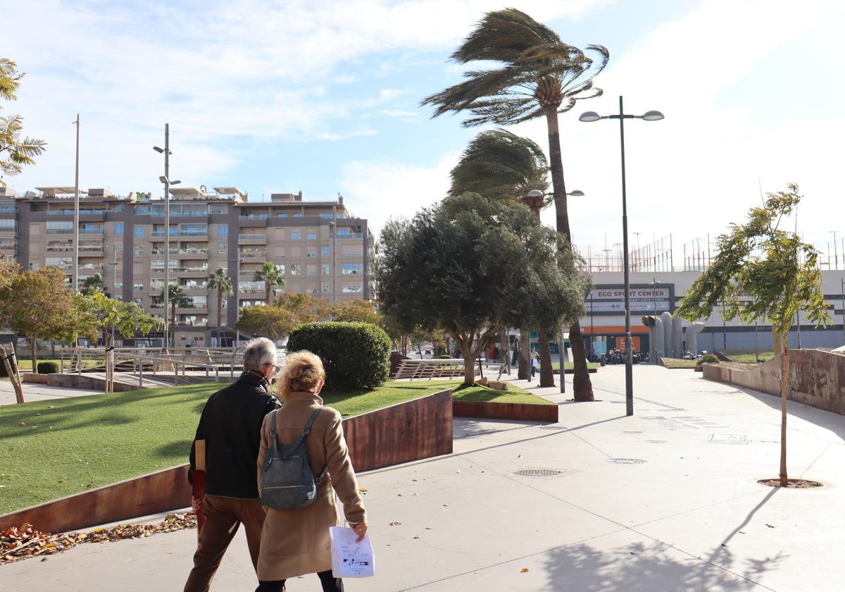 Viento en el parque de Las Almadrabillas.