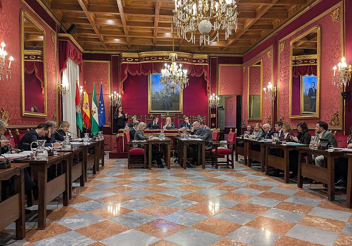 Un momento de la sesión plenaria celebrada este viernes en Granada.