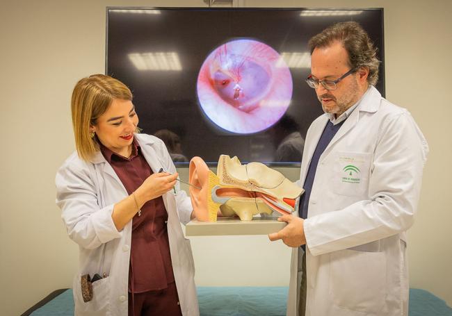 La doctora María Mara y el jefe de servicio Juan Ignacio Santaella hacen una demostración con un molde.