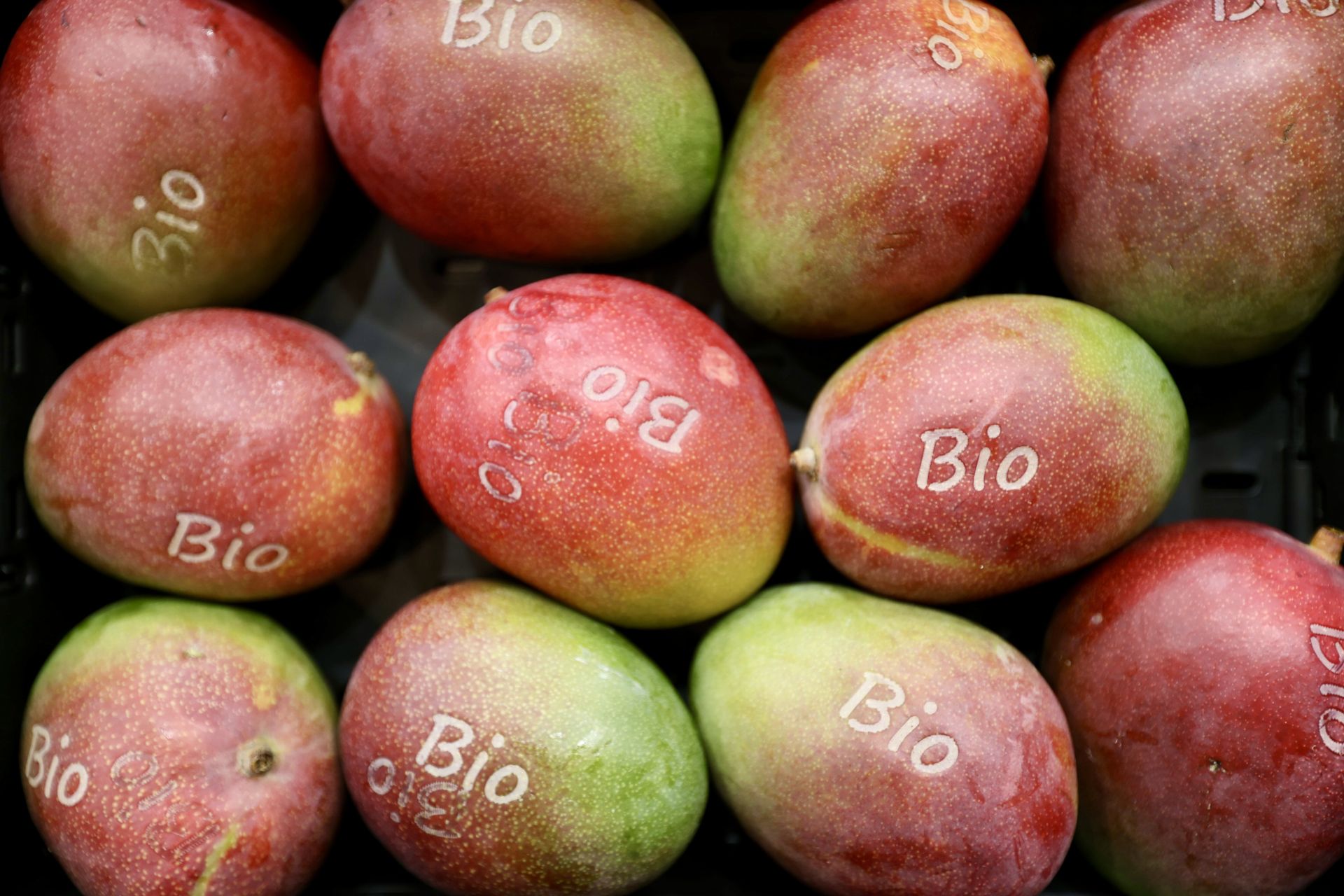 El inicio de Fruit Logistica 2025, en imágenes