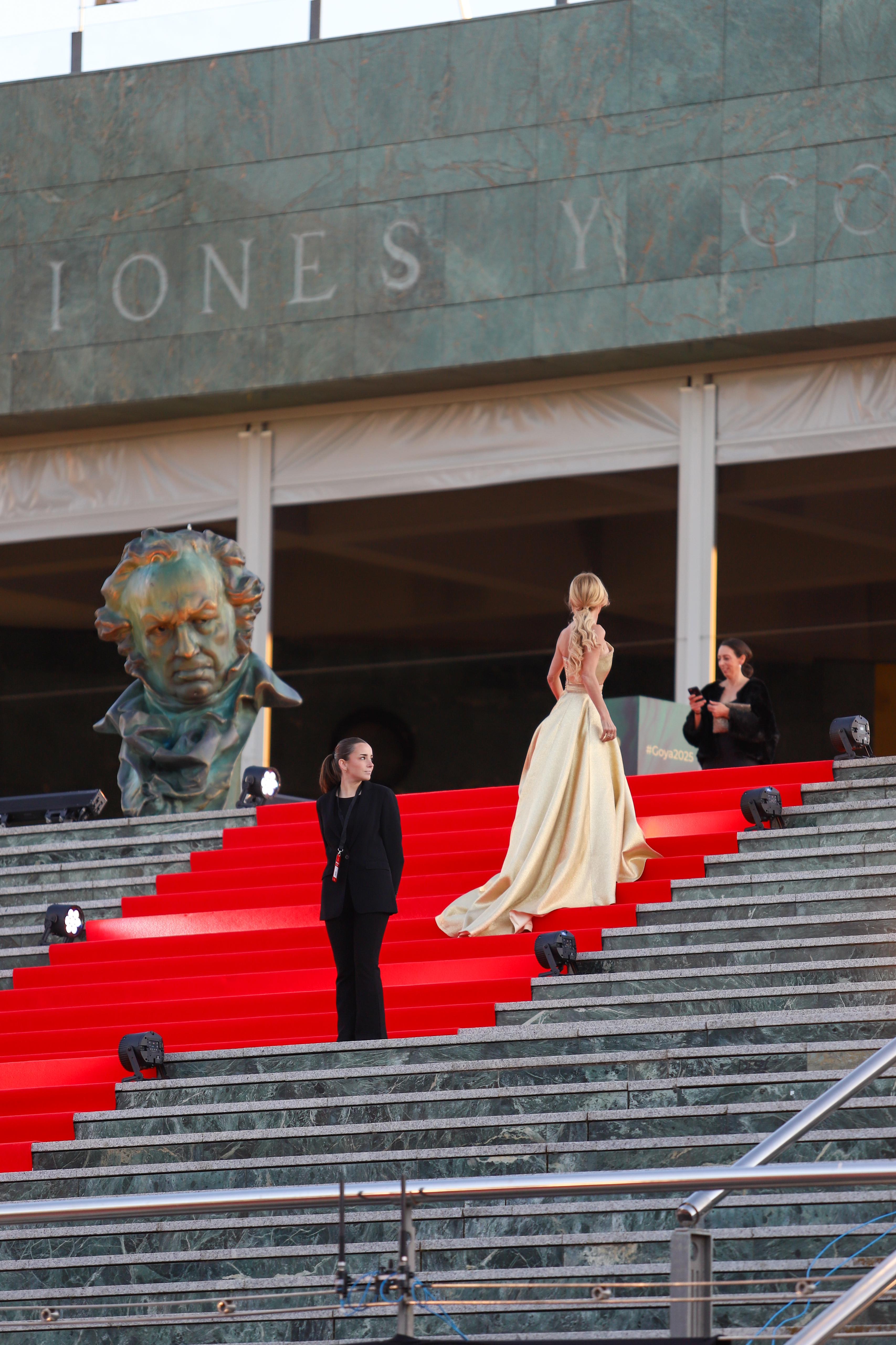 Las fotos dentro de la alfombra roja de los Goya de Granada