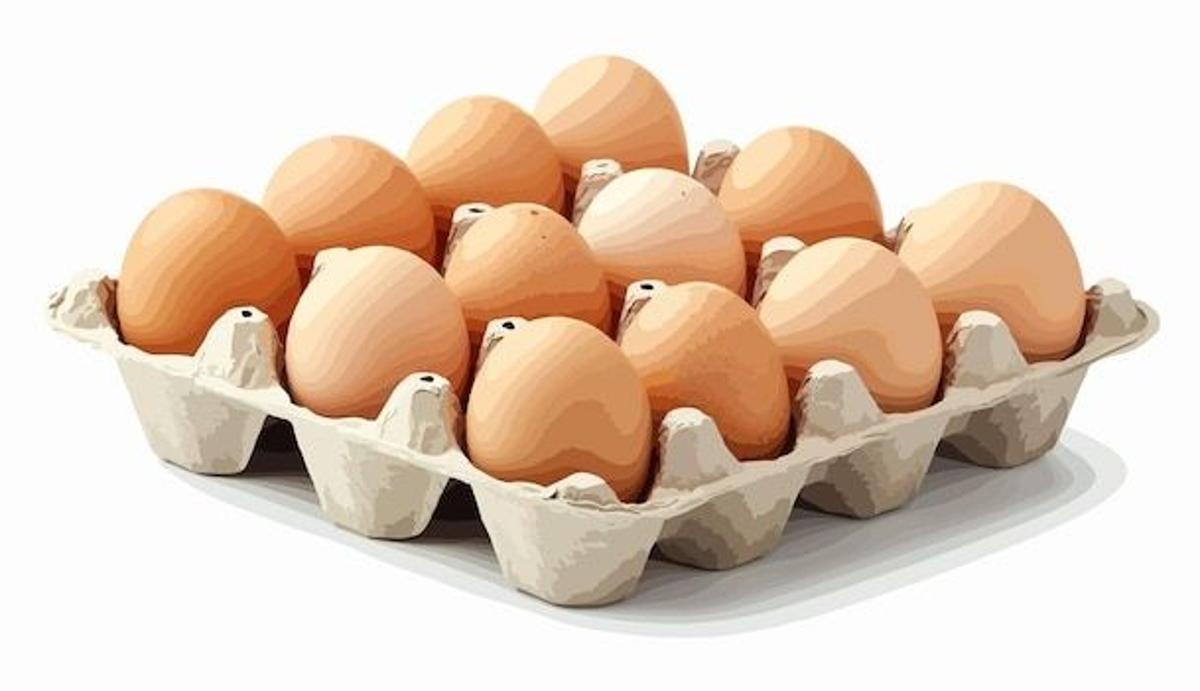 Estos son los peores huevos de supermercado según la OCU