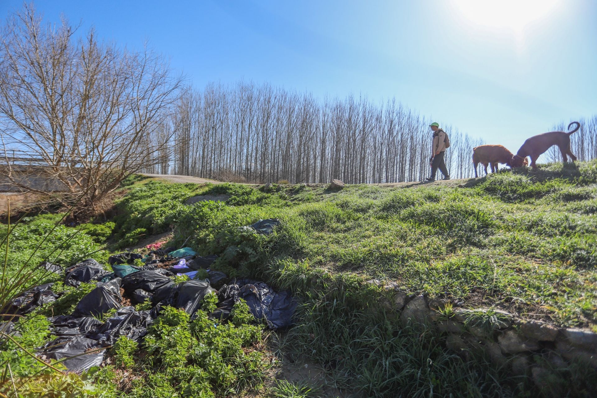 Recorrido por la marihuana arrojada en el río de Fuente Vaqueros