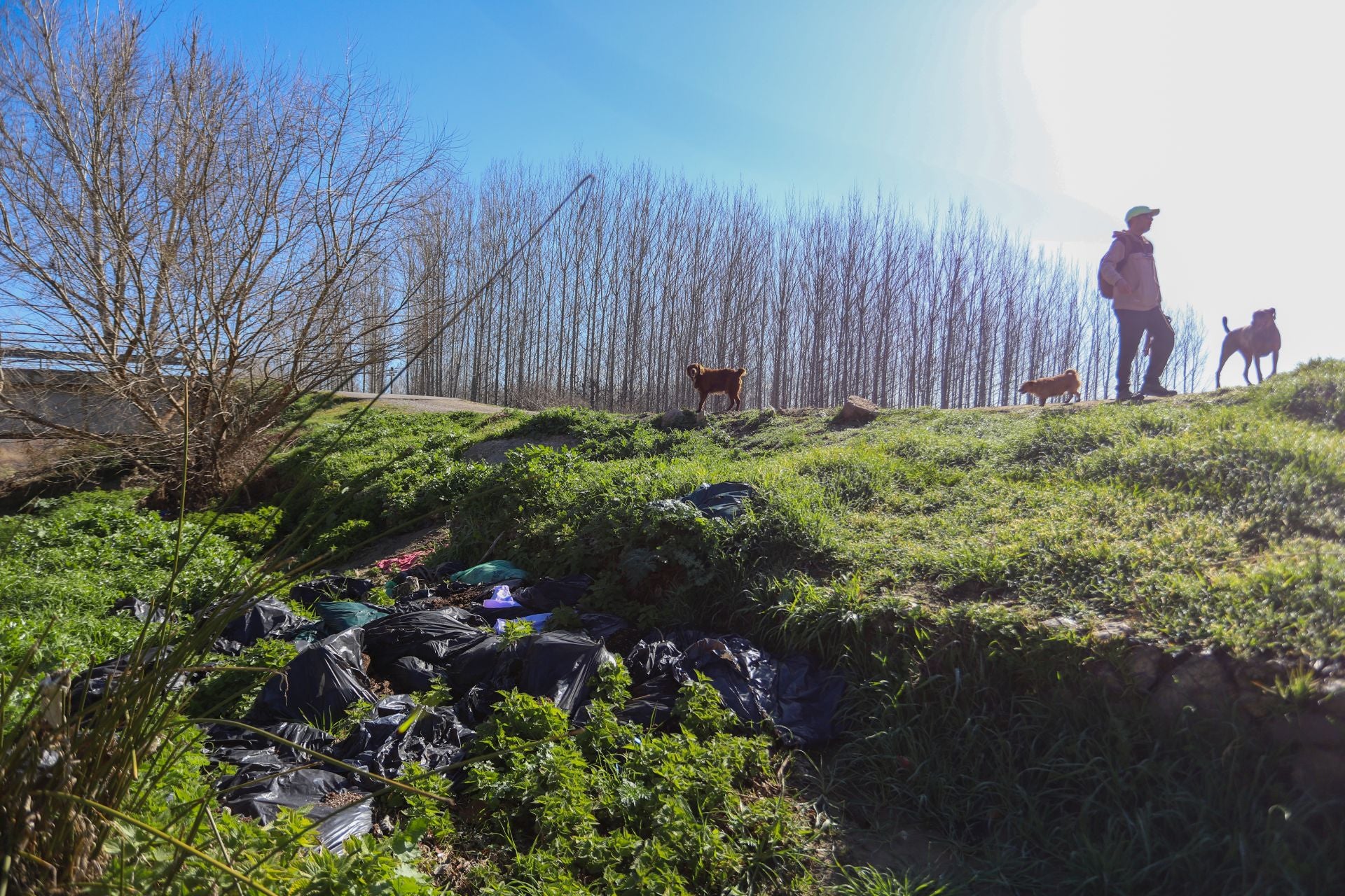 Recorrido por la marihuana arrojada en el río de Fuente Vaqueros