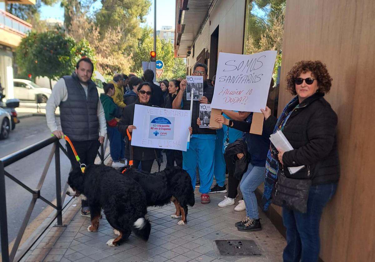 Veterinarios a las puertas del colegio profesional.