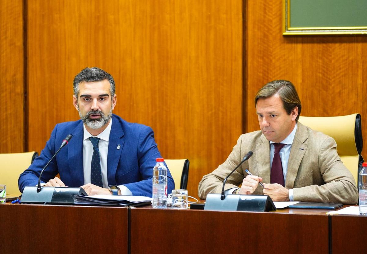 El consejero de Agricultura, Pesca, Agua y Desarrollo Rural, Ramón Fernández-Pacheco.