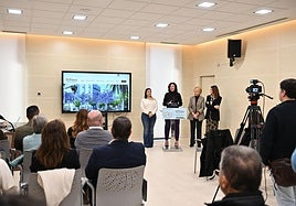 Bonos al comercio, hostelería y parking gratis para dinamizar el Paseo de Almería durante las obras