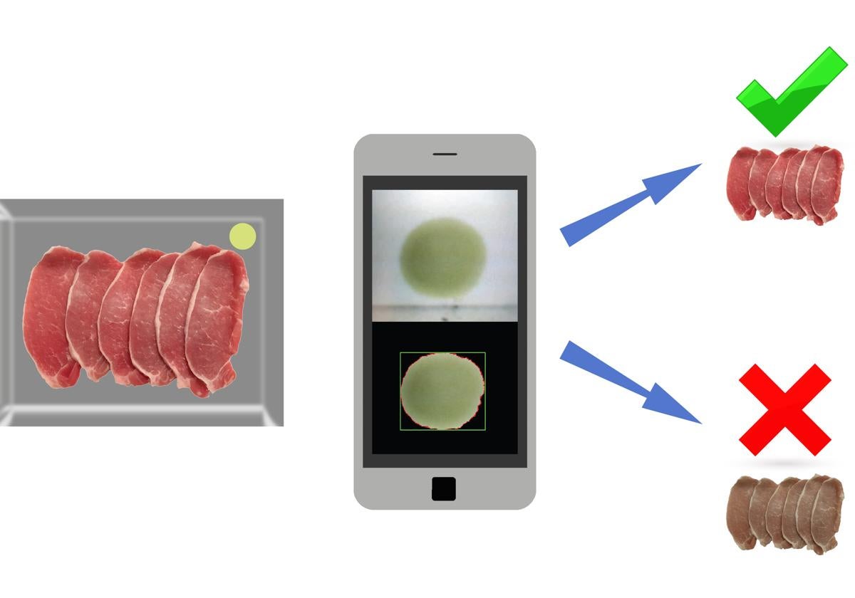 Investigadores de la UGR crean un sensor inteligente para detectar la frescura del pescado y la carne