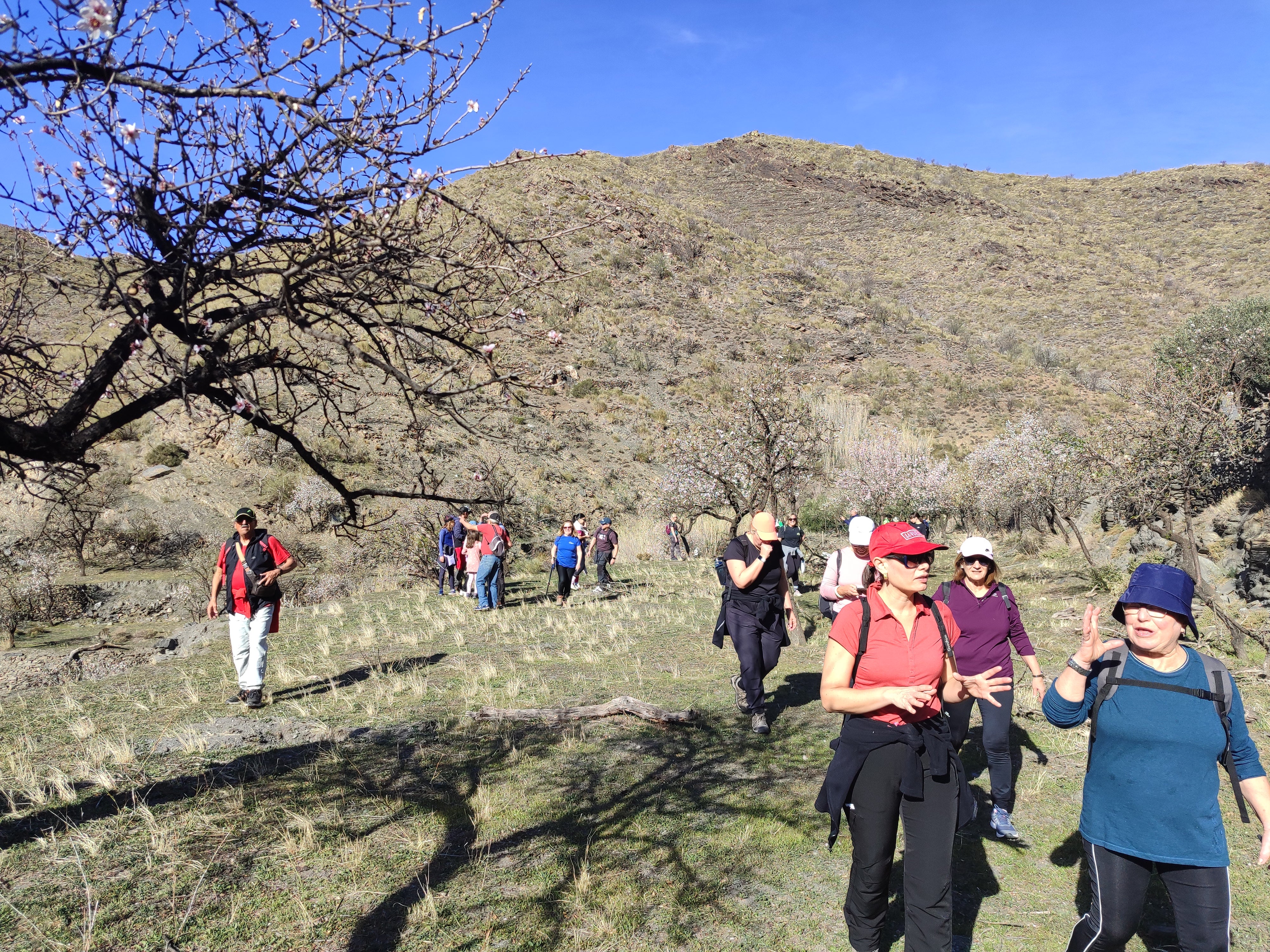 Velefique disfruta en familia de la ruta de almendros en flor