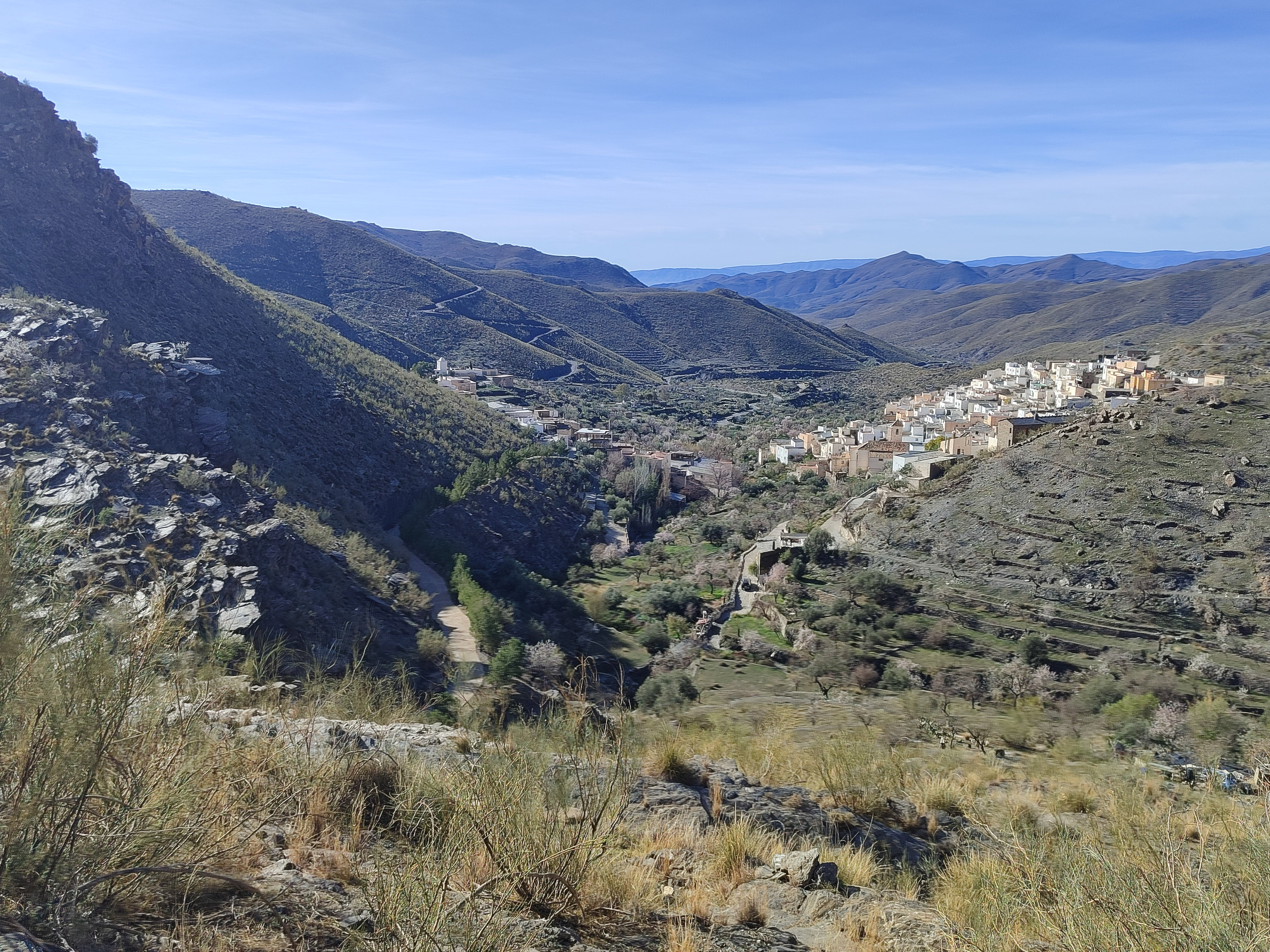 Velefique disfruta en familia de la ruta de almendros en flor