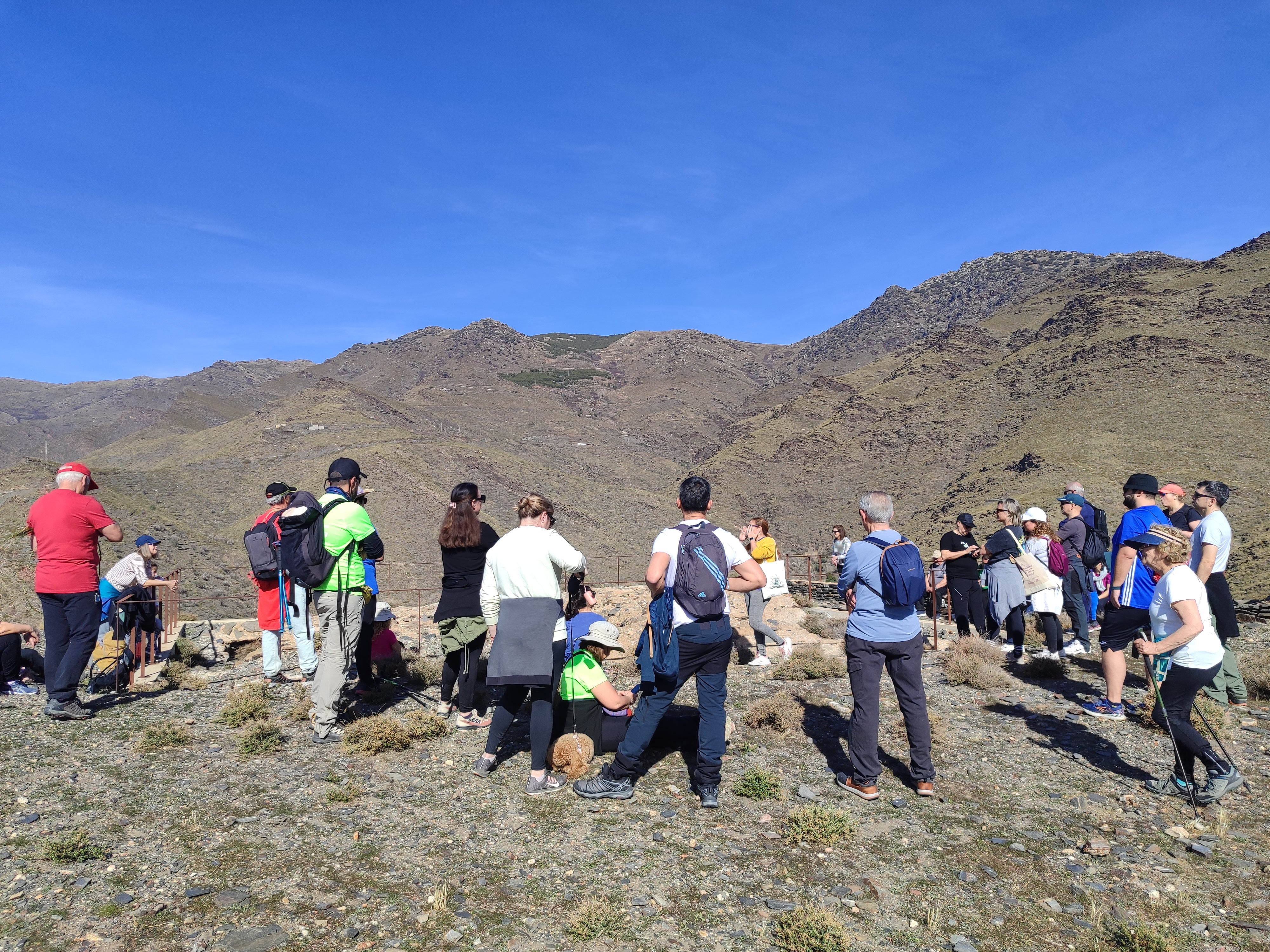 Velefique disfruta en familia de la ruta de almendros en flor