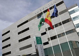 Citado este miércoles el decano de Informática por su querella al perito del móvil de Carcaño