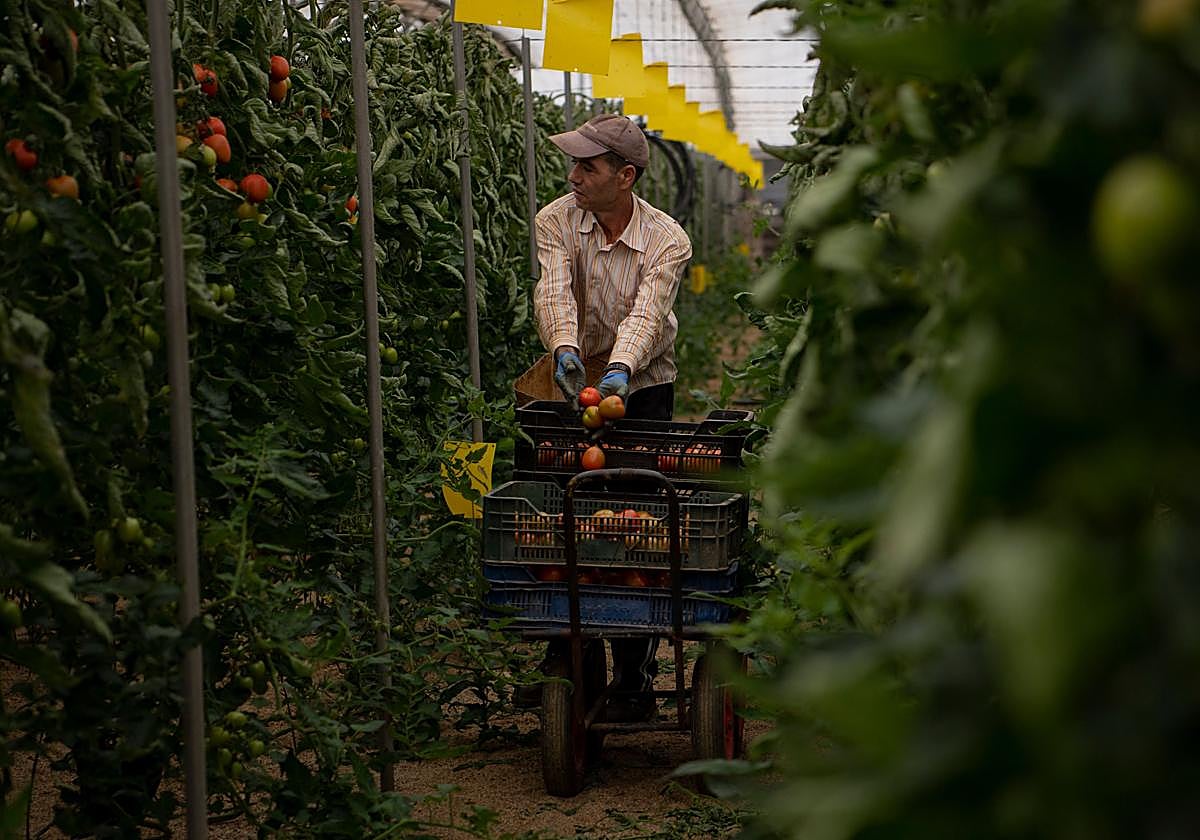 La Junta solicita una rebaja general del 35% en el IRPF de la agricultura y del 50% en la ganadería