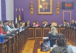 Salón de plenos del Ayuntamiento de la capital, este lunes.