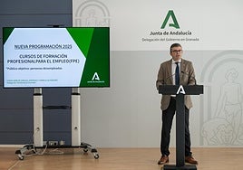 El delegado territorial de Empleo, Empresa y Trabajo Autónomo de la Junta de Andalucía en Granada, Javier Martín Cañizares.