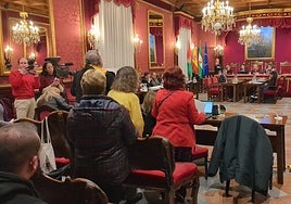 Un momento de la sesión celebrada este miércoles en el Ayuntamiento.