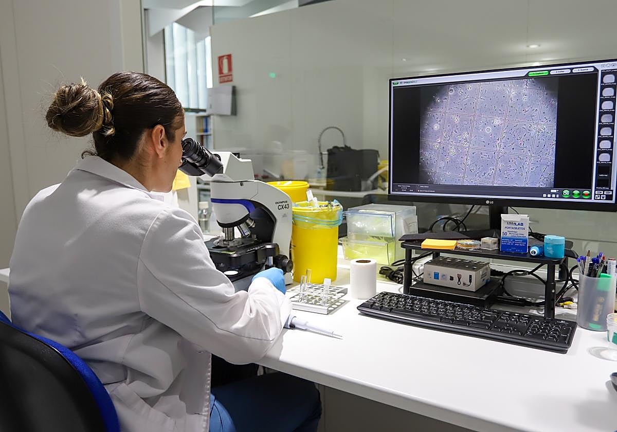Una técnica de Gametia Biobank hace el recuento de espeLrmatozoides al microscopio en una muestra de semen de un candidato a donante.