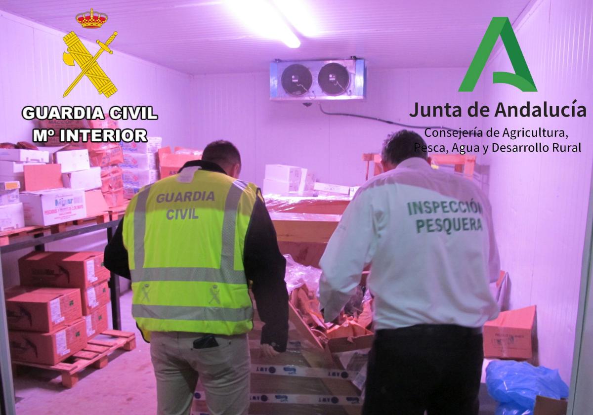 Intervenidos en Jaén 2.032 kilos de productos pesqueros congelados, algunos caducados o sin etiquetar