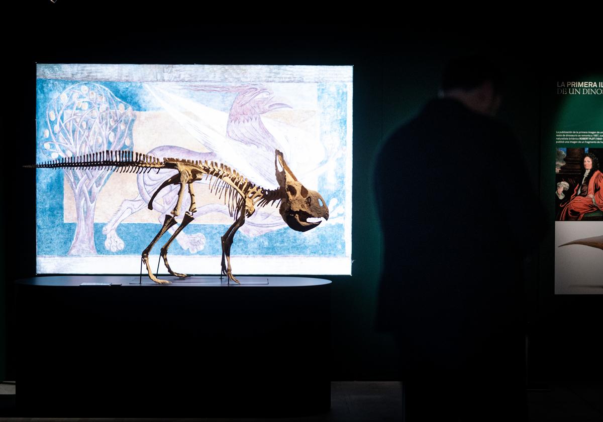 Imagen principal - Varios módulos de la exposición.