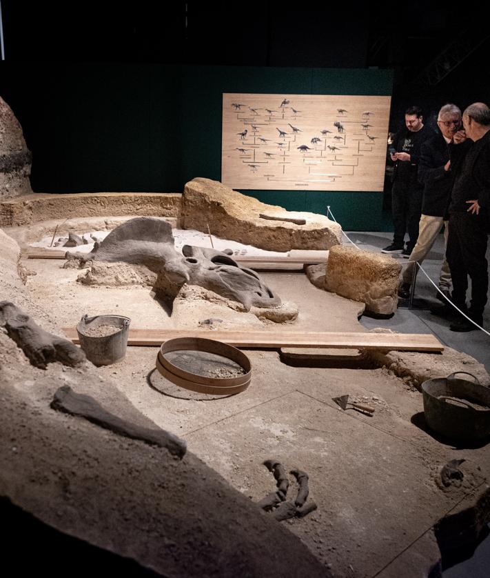 Imagen secundaria 2 - Varios módulos de la exposición.