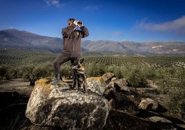 Javier, guarda rural en la zona de Salar y Loja, vigila con sus prismáticos y acompañado de su perro, un pastor belga malinois.