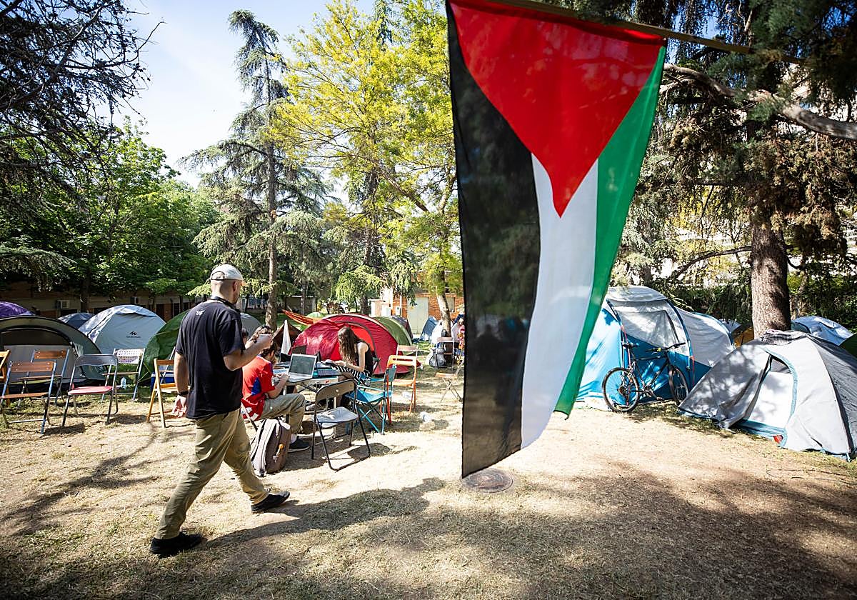 Acampada pro Palestina en el campus de Fuentenueva, en mayo de 2024.