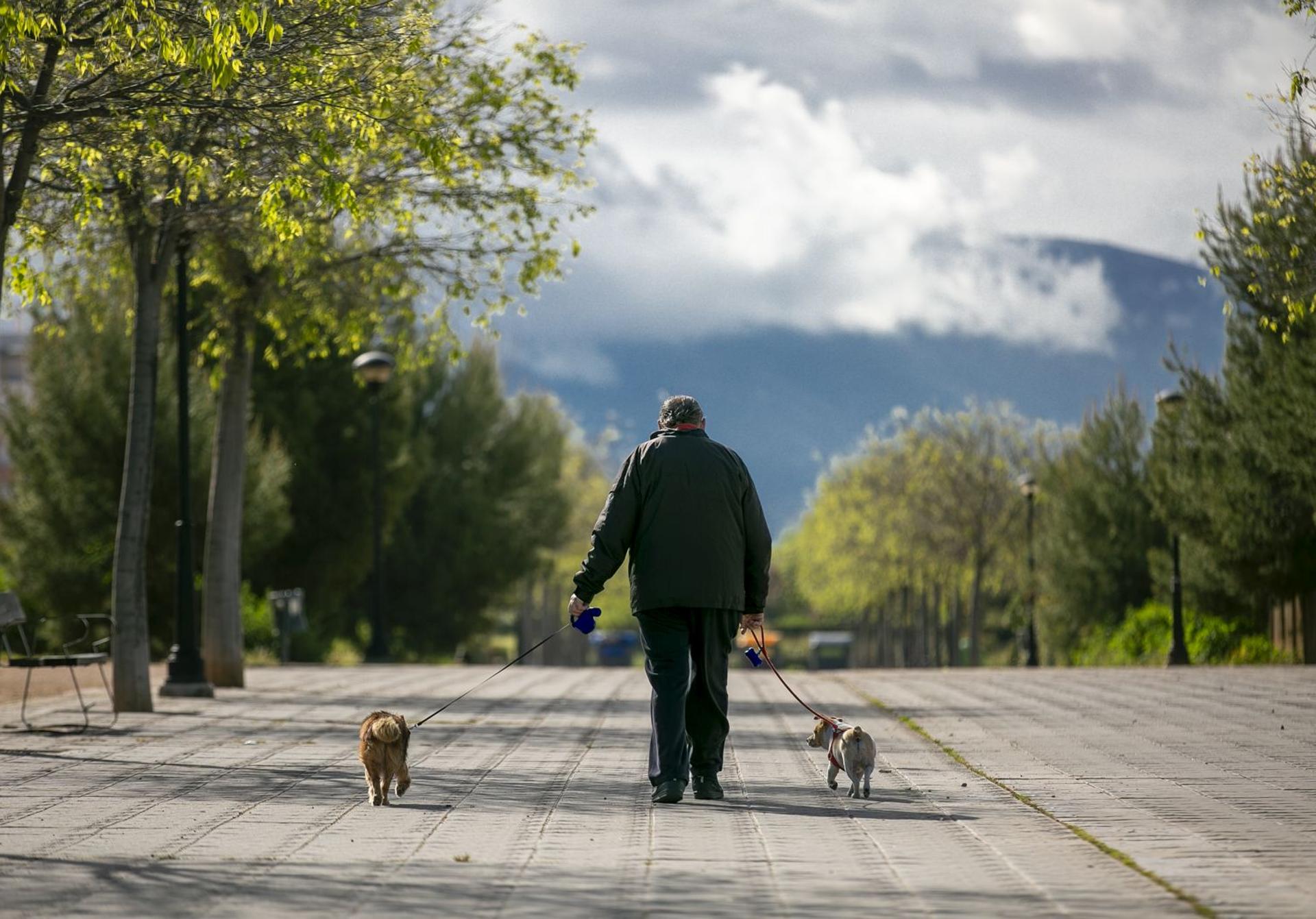 Un paseo por la avenida Federico García Lorca.