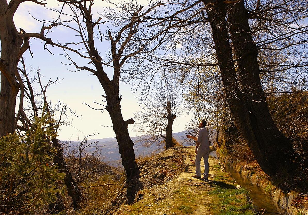 La ruta del último rey de Al-Andalus por el 'Pueblo Libro' de Granada.