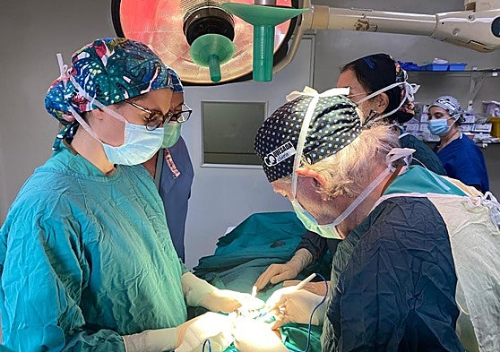 Intervenciones realizadas por la ONG Quesada Solidaria.