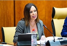 La consejera de Fomento, Articulación del Territorio y Vivienda, Rocío Díaz, en comisión parlamentaria.