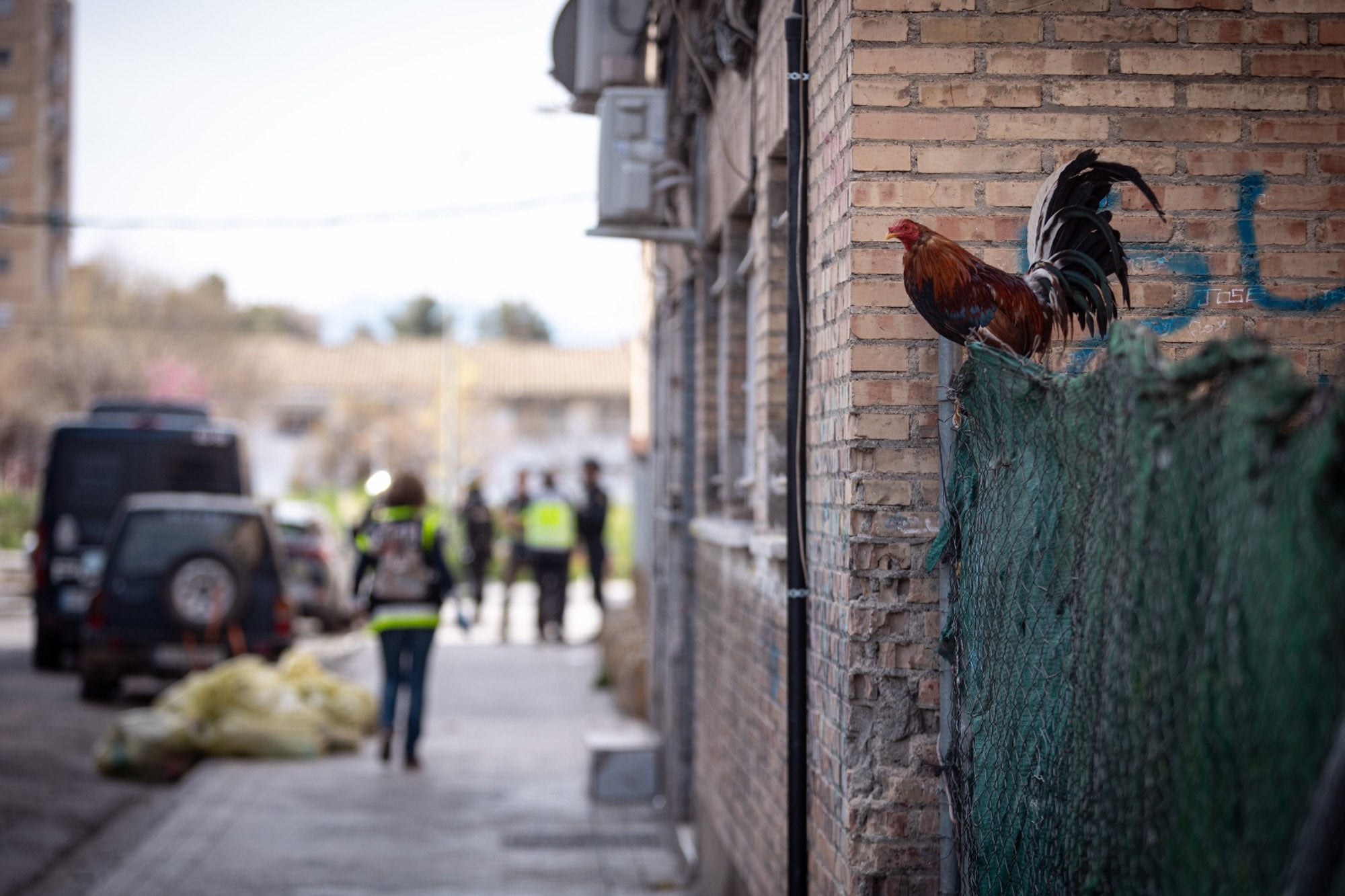 Las imágenes de la operación policial en la zona Norte de Granada, desde dentro