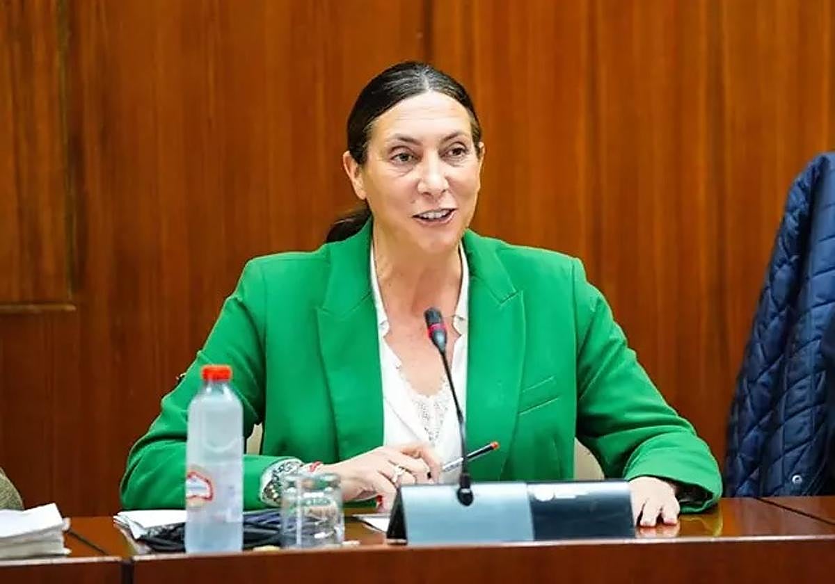 La consejera de Inclusión Social de la Junta de Andalucía, Loles López, en una imagen de la semana pasada.