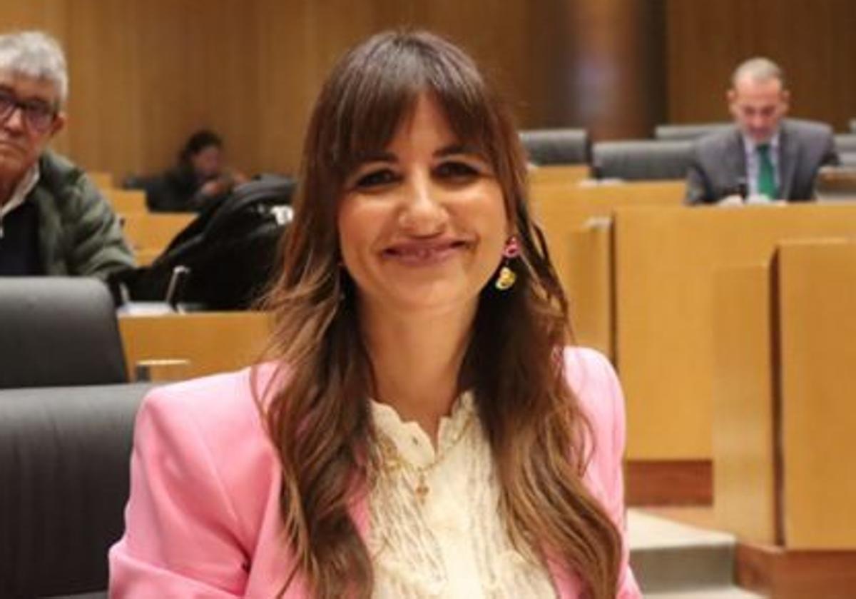 El psoe propone declarar el 2025 como año del pueblo gitano en españa | ideal