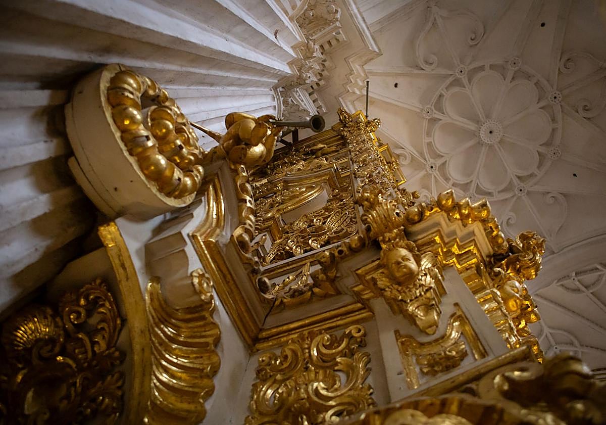 Imagen principal - Dorado. 