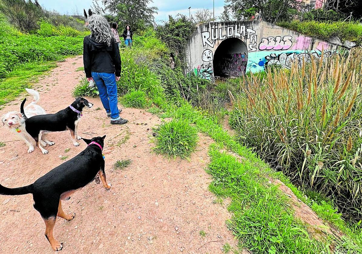 Un río lleno de marihuana, chozas y muebles