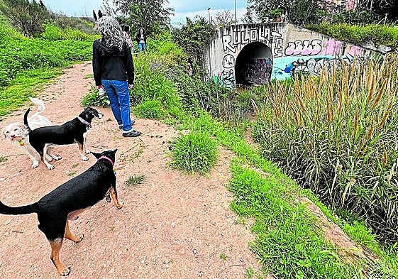 Entorno del río Beiro, cubierto de chozas y basura