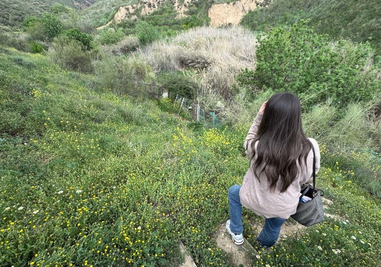 Un río lleno de marihuana, chozas y muebles