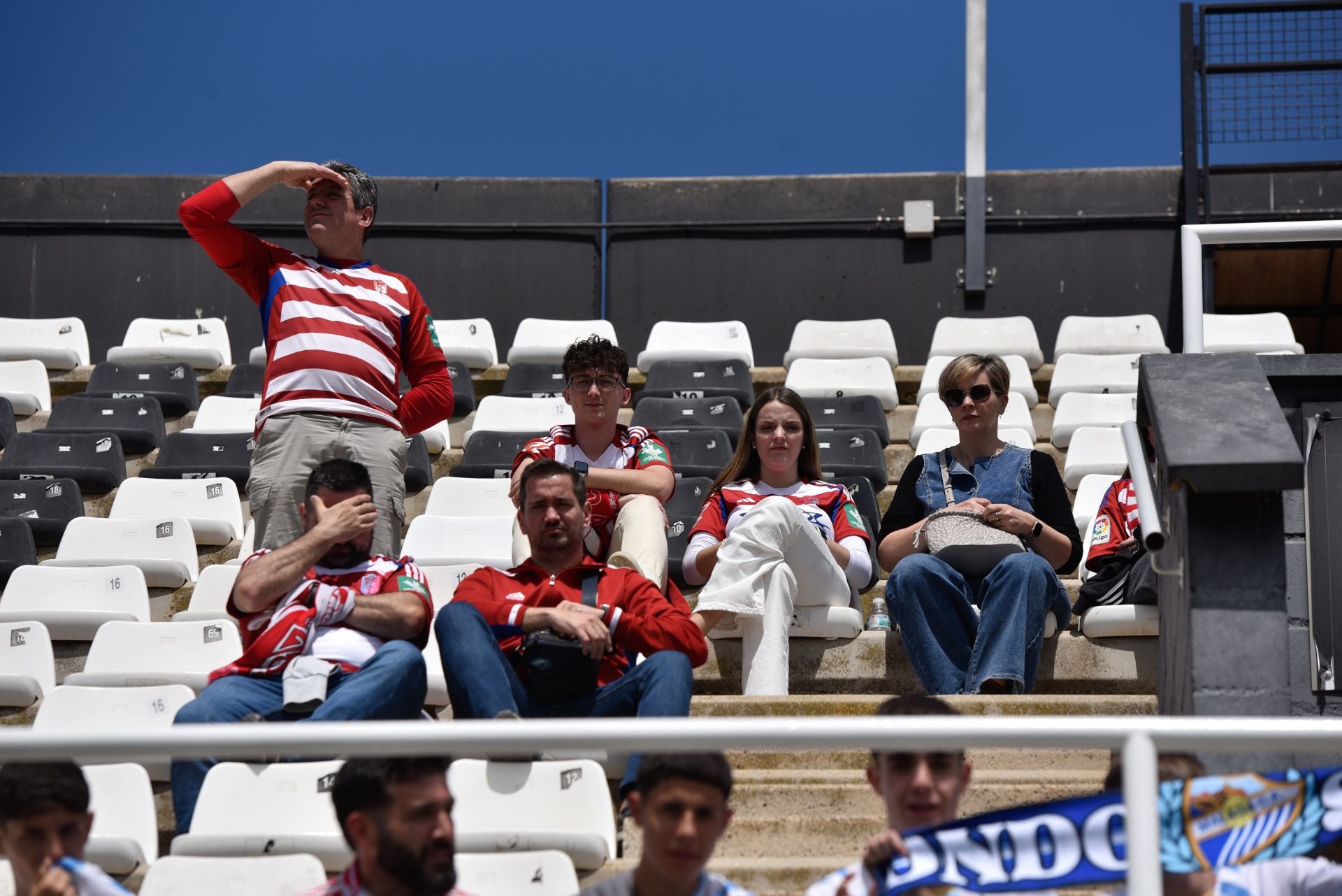 Encuéntrate en la grada del Cartagonova en el Cartagena - Granada CF