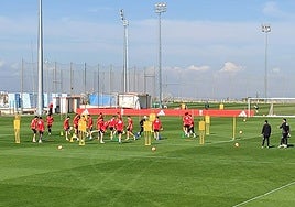Uno de los ejercicios del entrenamiento del Granada.