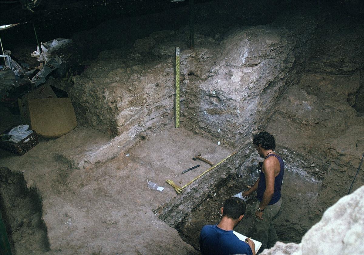 La ugr revela que los neandertales del sur de la península ibérica cazaban caballos, ciervos y uros para sobrevivir | ideal