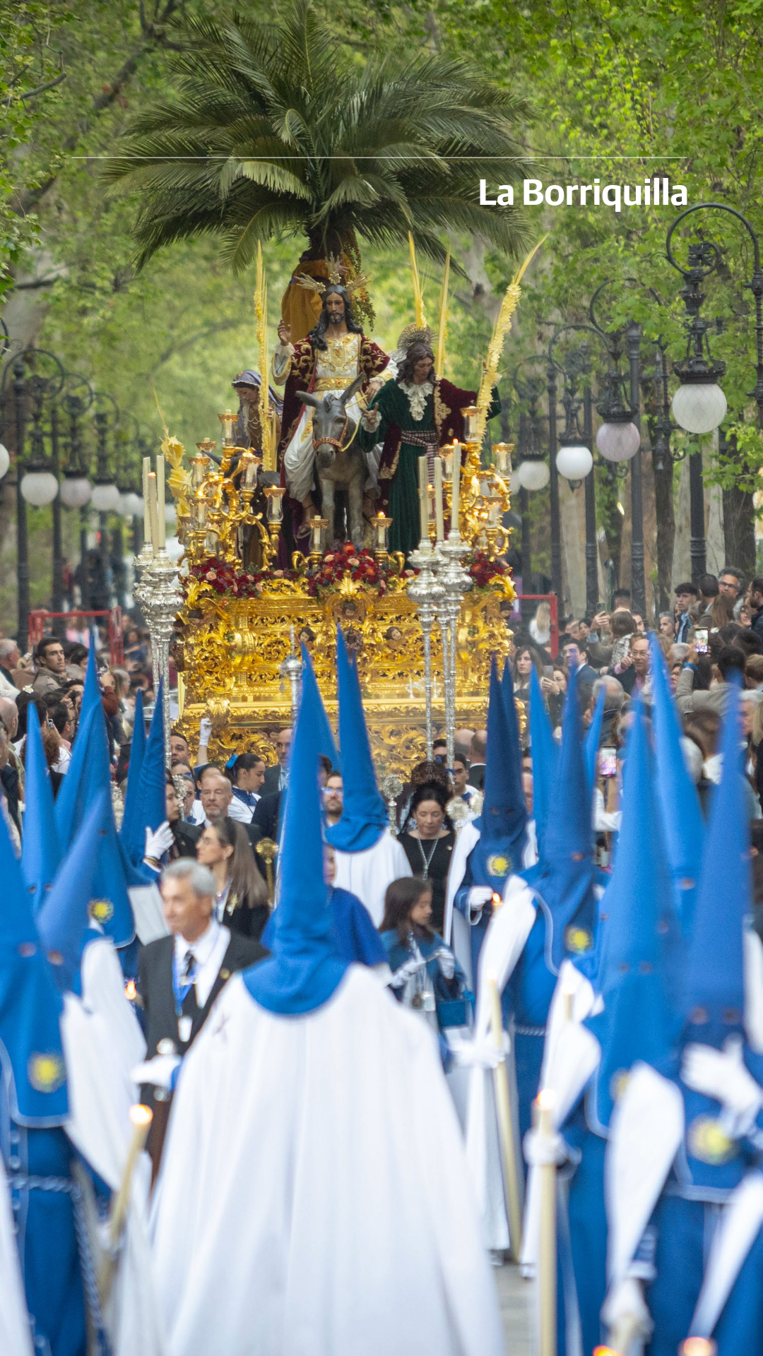 La foto más íntima de las 34 cofradías de Granada en Semana Santa