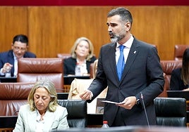 El consejero de Agricultura, Ramón Fernández-Pacheco, durante su intervención en el Parlamento.