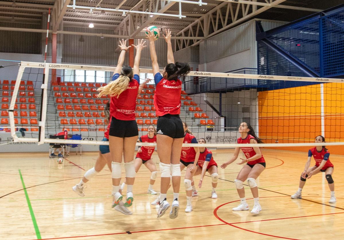 El universidad sube a la superliga 2 femenina de voleibol | ideal