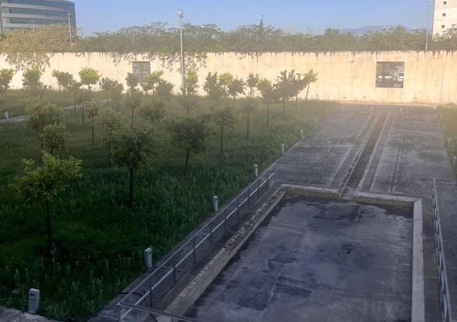 Por la ventana de lo que podría ser el registro civil, se divisa el patio de naranjos.