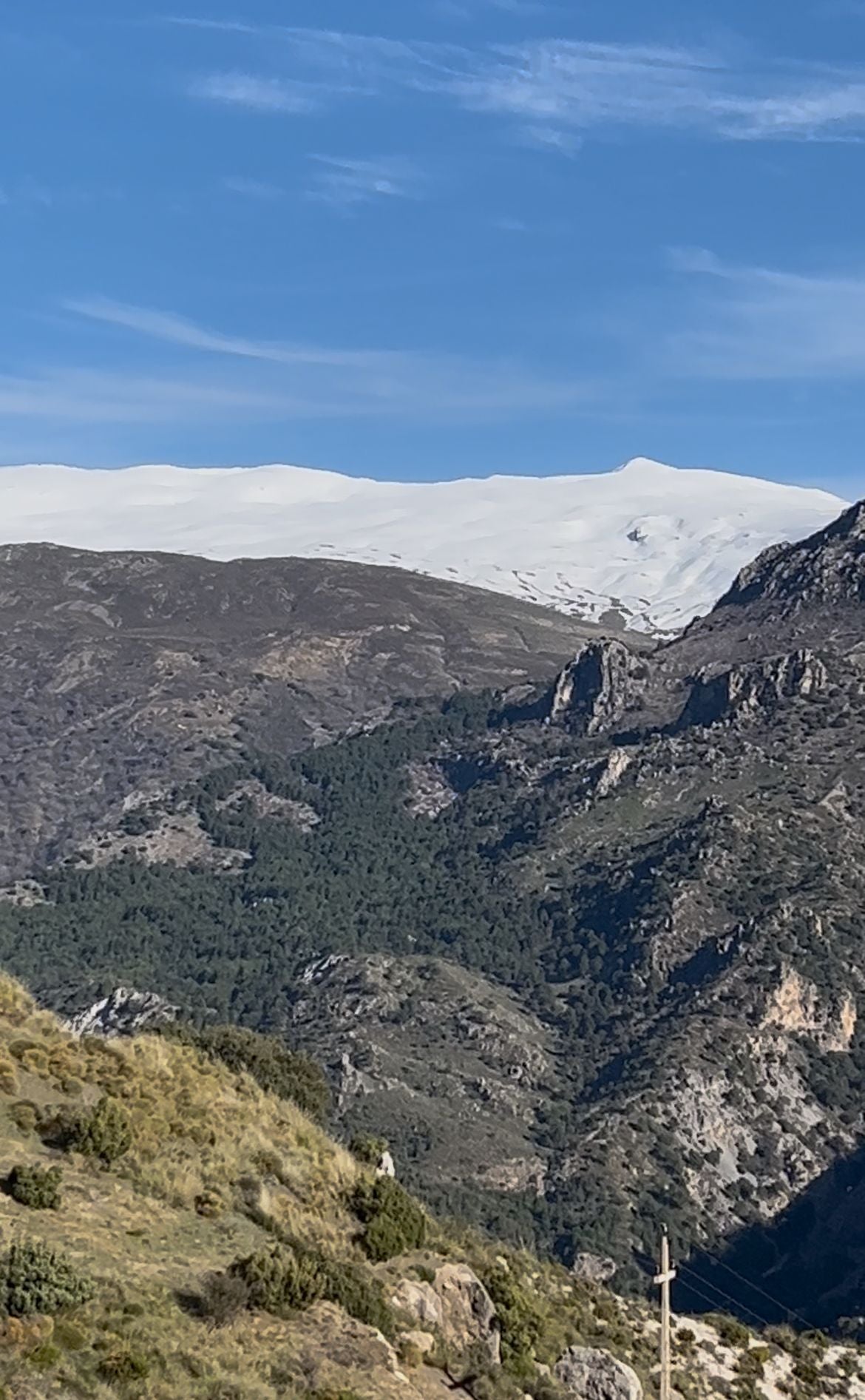 Vistas con regusto a morcilla.
