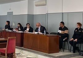 Una de las sesiones de la vista oral en Almería.