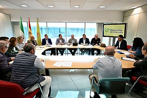 Reunión del Comité de Emergencias de la Diputación de Granada