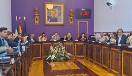 Debate en el salón de plenos.